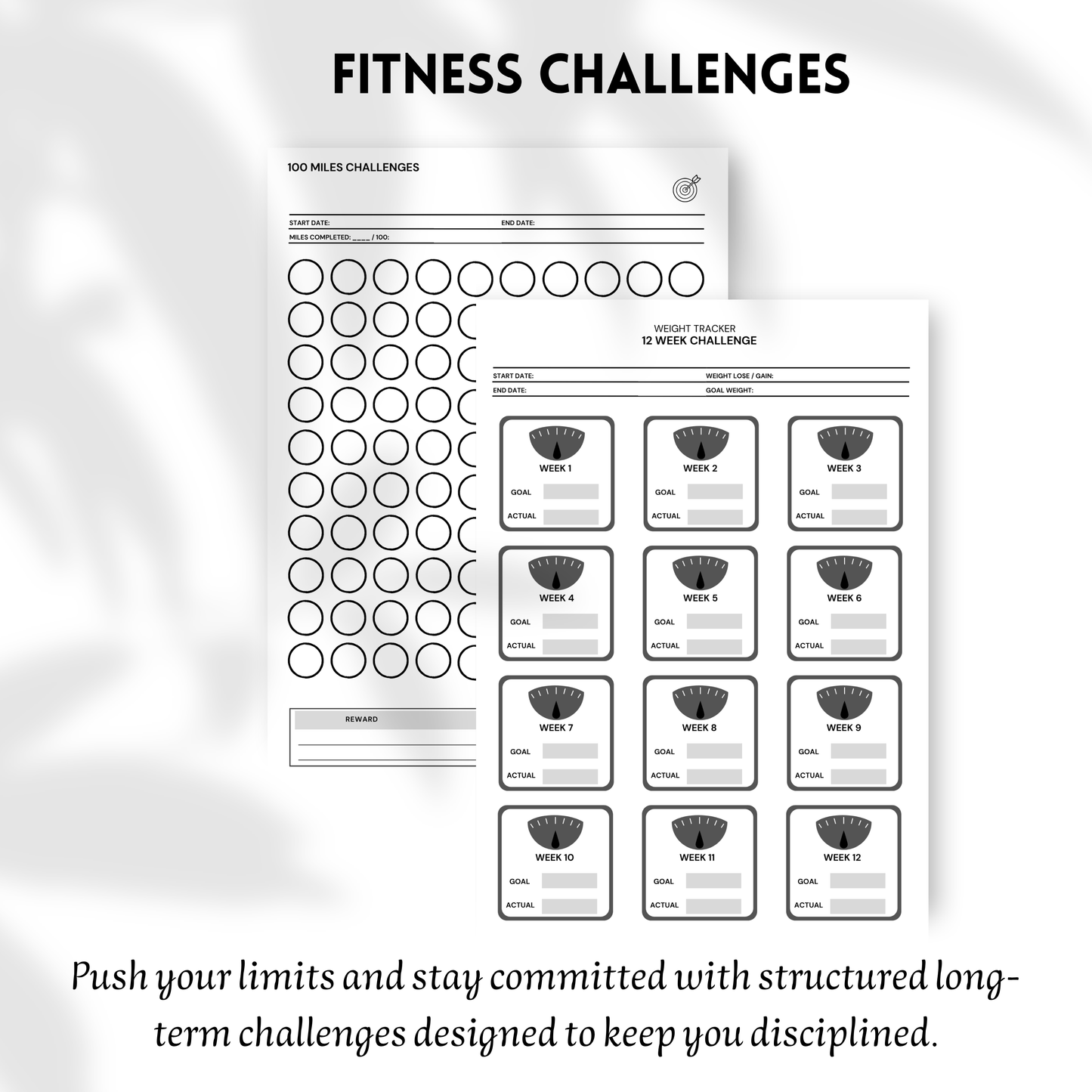 The Ultimate Fitness Planner